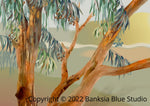 Banksia Blue Studio "Tanderra"| Framed Canvas Print Australian Eucalyptus Tree - Landscape