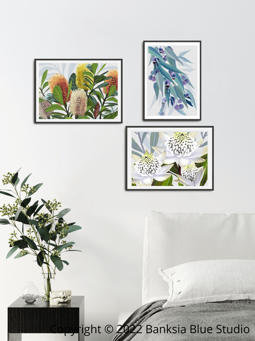 Banksia Blue Studio The Australian Native Favourite Gallery Set of 3 |A4 Gallery Art Collection Series