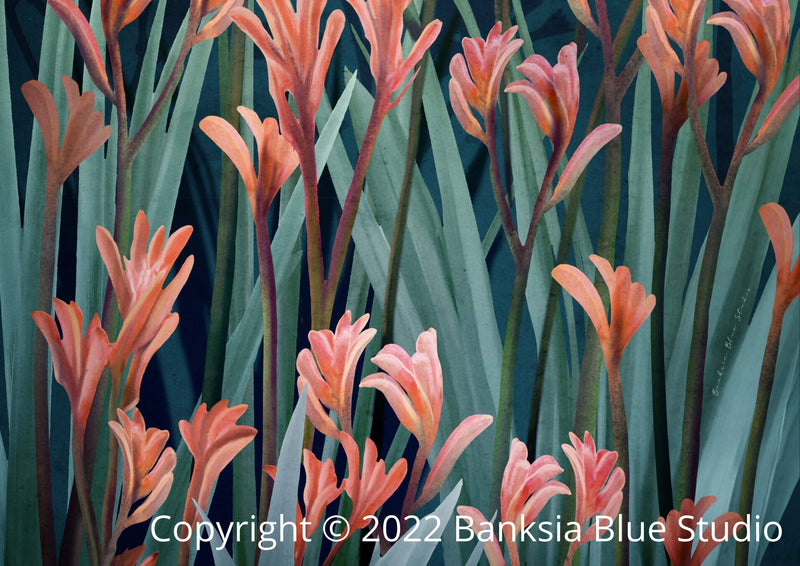 Banksia Blue Studio "Wild of Heart "|Australian Kangaroo Paw Teal Canvas Art Print - Landscape