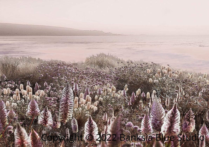 Banksia Blue Studio "Wildflowers"| Australian Banksia Timber Framed Canvas Print-Landscape