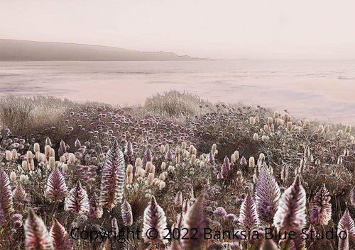 Banksia Blue Studio "Wildflowers"|Australian Mulla Mulla Framed Wall Print Black-Landscape