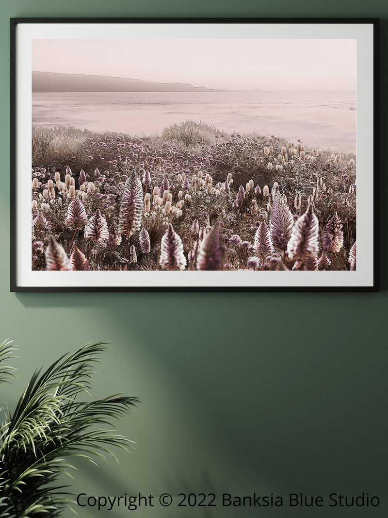 Banksia Blue Studio "Wildflowers"|Australian Mulla Mulla Framed Wall Print Black-Landscape