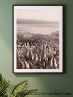 Banksia Blue Studio "Wildflowers"|Australian Mulla Mulla Framed Wall Print Black-Portrait