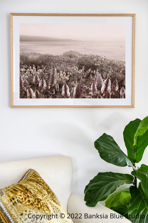 Banksia Blue Studio " Wildflowers"|Australian Mulla Mulla Framed Wall Print Natural-Landscape