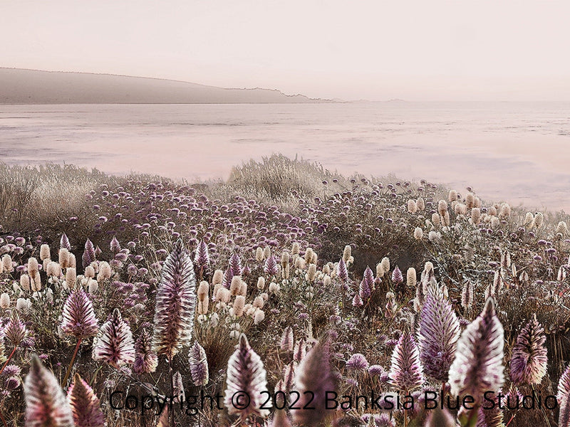 Banksia Blue Studio " Wildflowers"|Australian Mulla Mulla Framed Wall Print Natural-Landscape