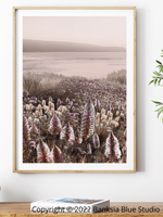 Banksia Blue Studio " Wildflowers"|Australian Mulla Mulla Framed Wall Print Natural-Portrait