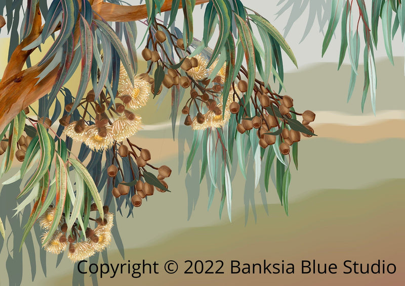 Banksia Blue Studio "Yallaroo" |Australian Lemon Gum Eucalyptus Framed Wall Print Natural-Landscape